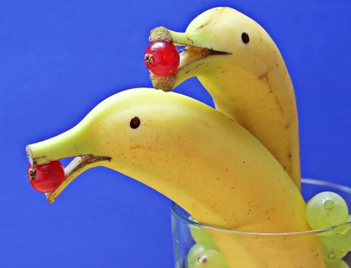 Tudtad? A banán és az ember DNS-e 50%-ban megegyezik! Elképesztő!